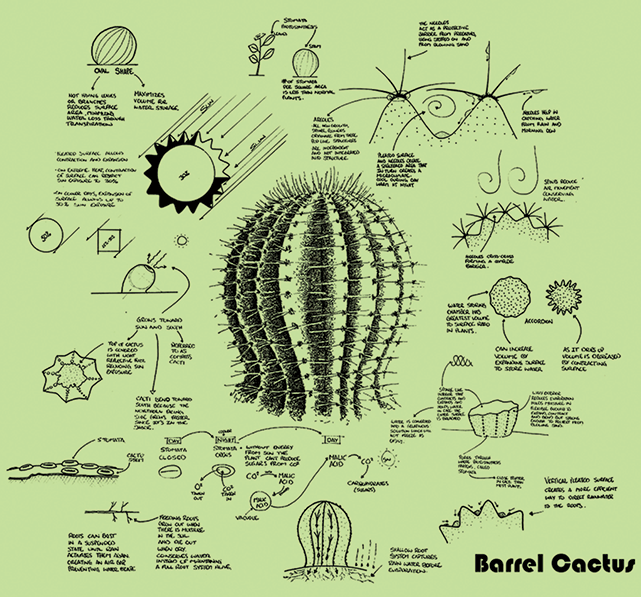Schooled by mother nature Biology Diagrams