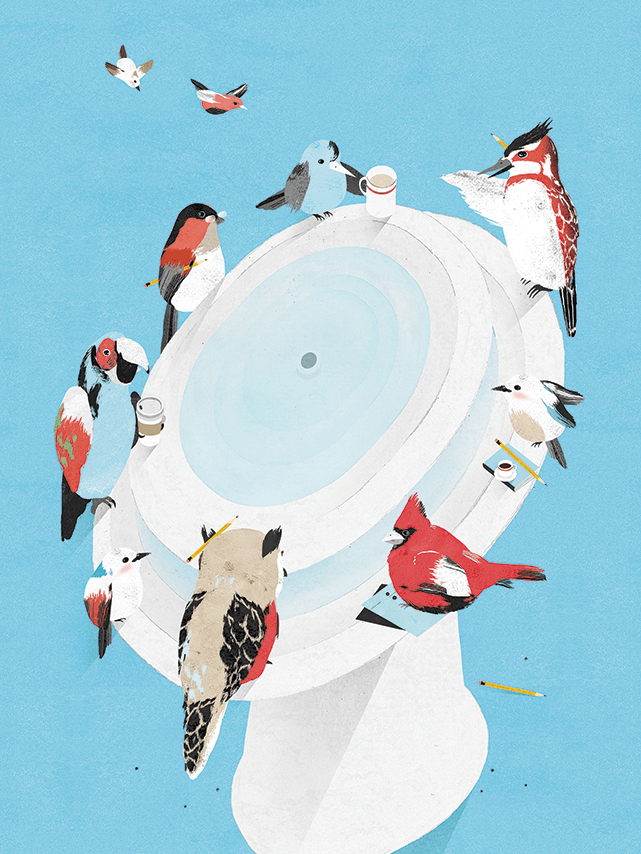 Birds illustration by Gracia Lam