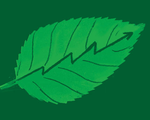 Illustration by Yarek Waszul