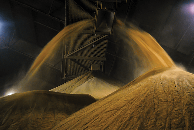 Distillers grain, a byproduct of corn ethanol production, being conveyed into a storage facility. Photo by Tyler Hamilton