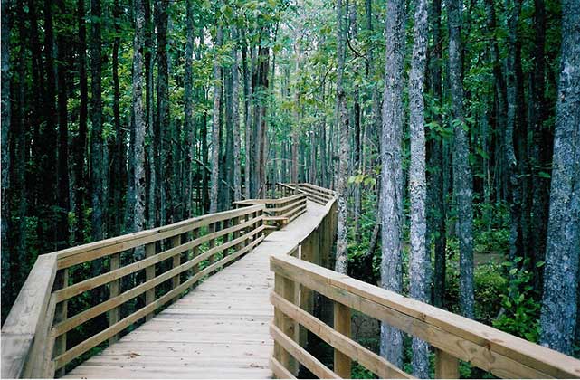 Wolf River Nature Reserve