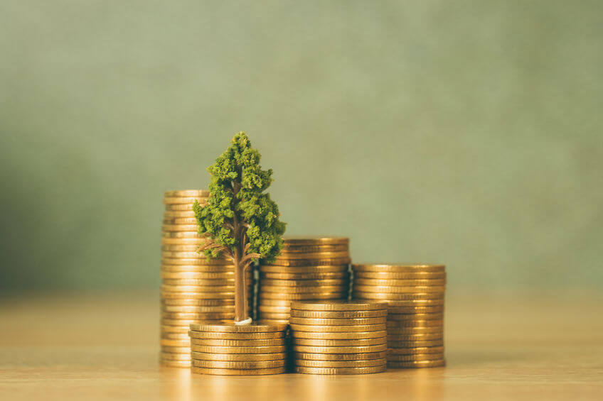 Tree growing on stack of coins.