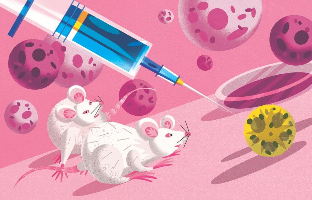 Of mice and men: Could COVID spell the end of animal testing? | Corporate  Knights