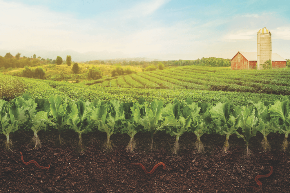 Can climate-smart regenerative farming save the earth? | Corporate Knights