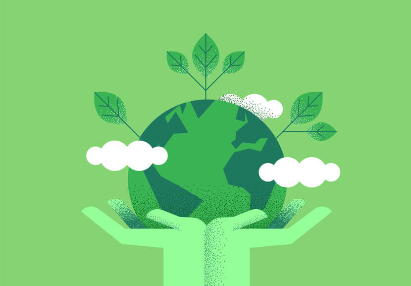 sustainable companies