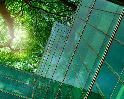 sustainable materials in construction