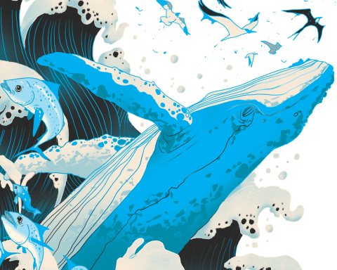 Most sustainable companies