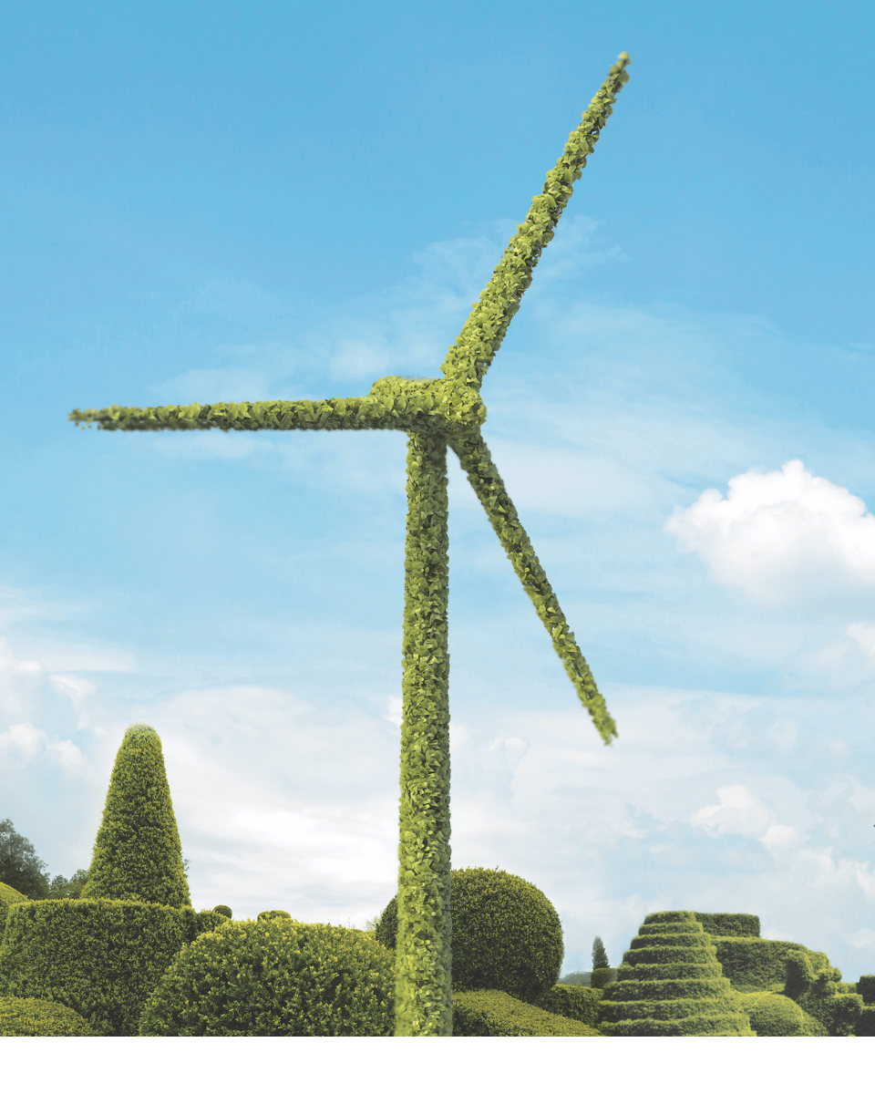 Future 50. Sustainable Art.