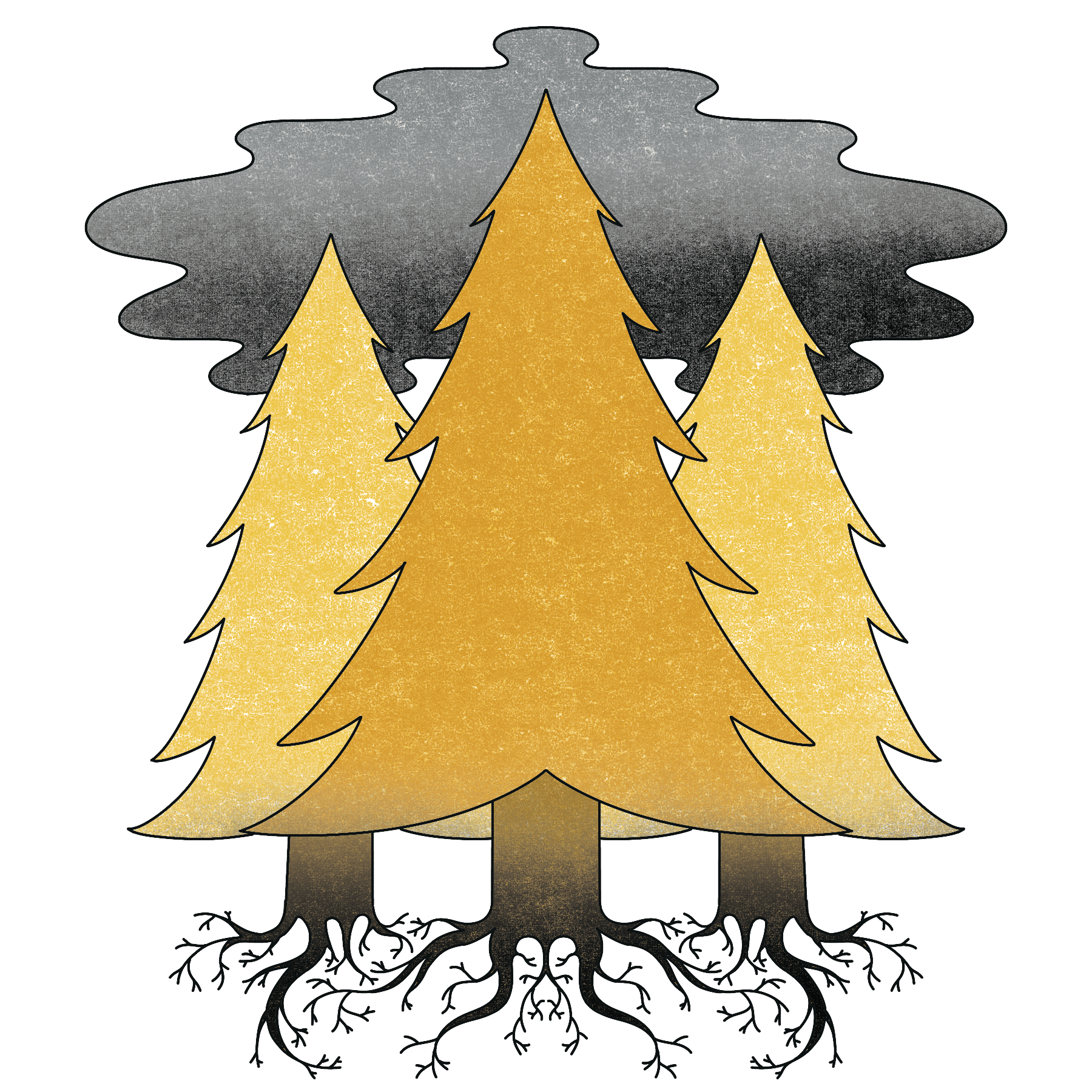 carbon sequestration trees forest