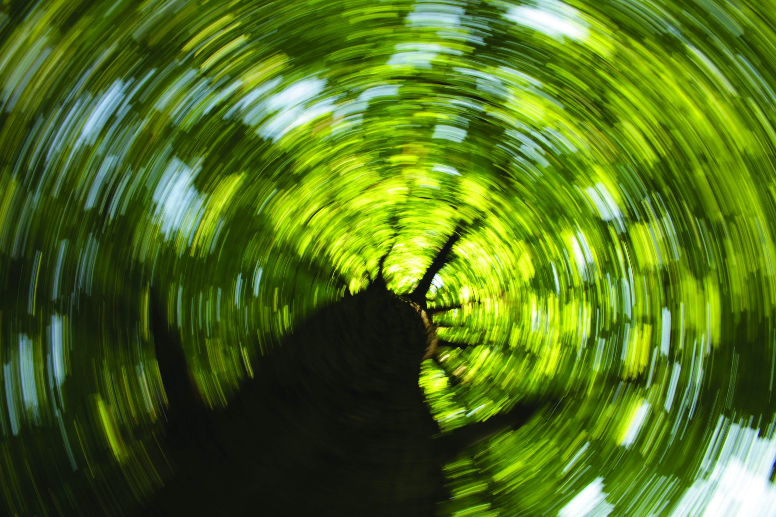 Climate muse: Eco-artists hope to inspire in the face of crisis