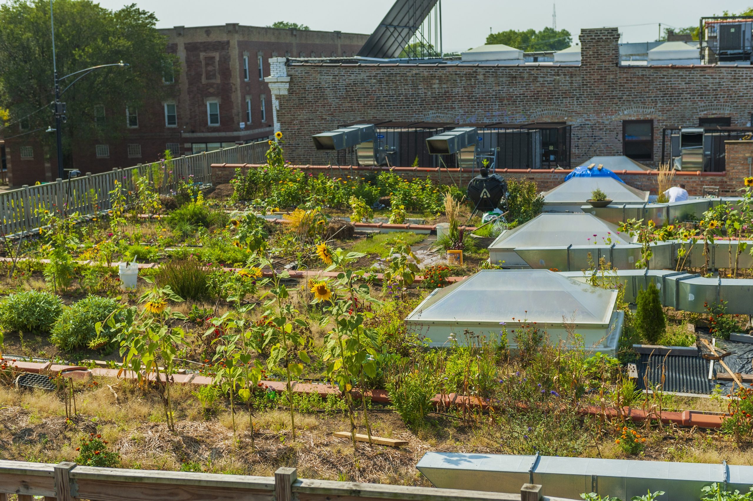 Photos of a business incubator along the 51 Street Commercial District in Chicago's Bronzeville neighborhood; September, 2020.