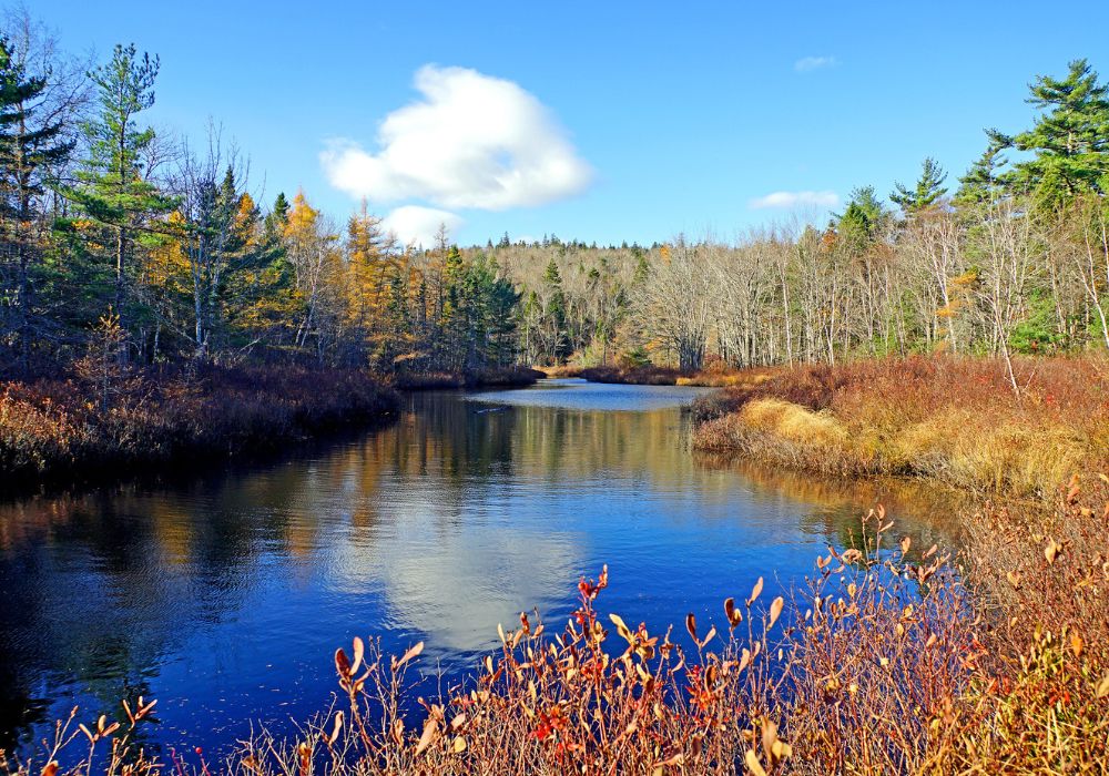 The global push for a ‘blue economy’ is ignoring freshwater
