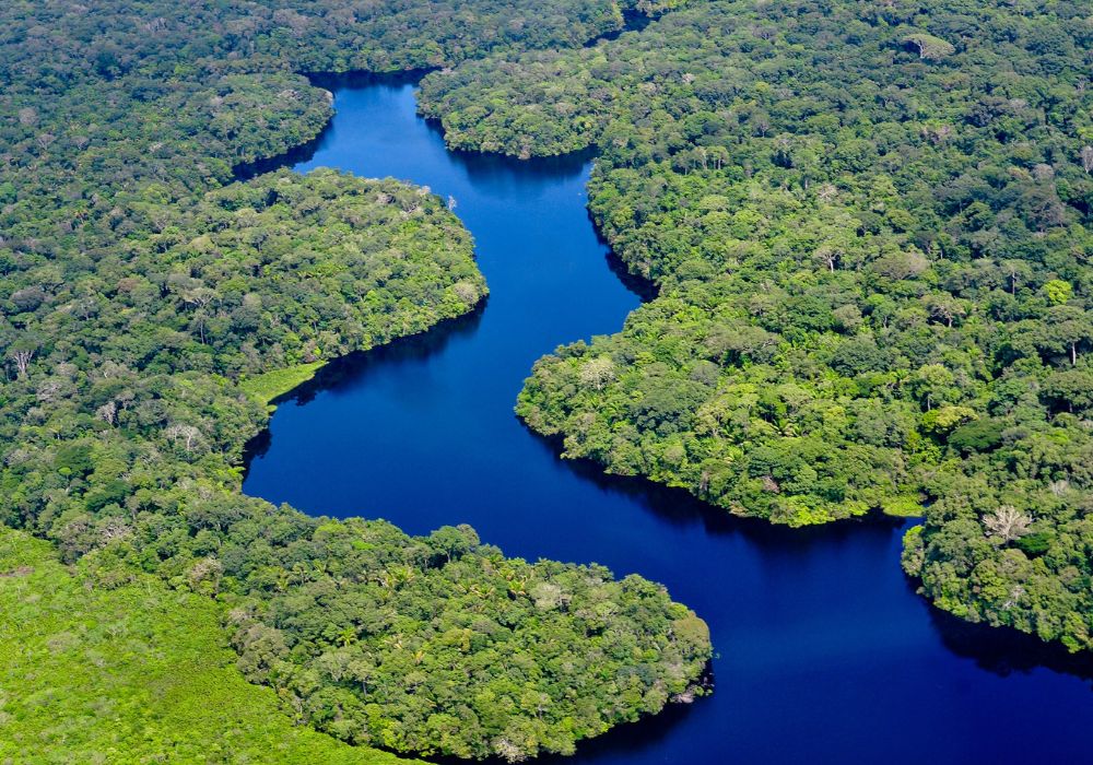 Can Amazon nations save the rainforest if we keep cutting it down?