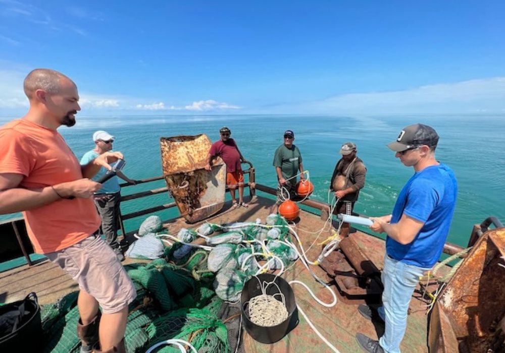 carbon capture, oceans