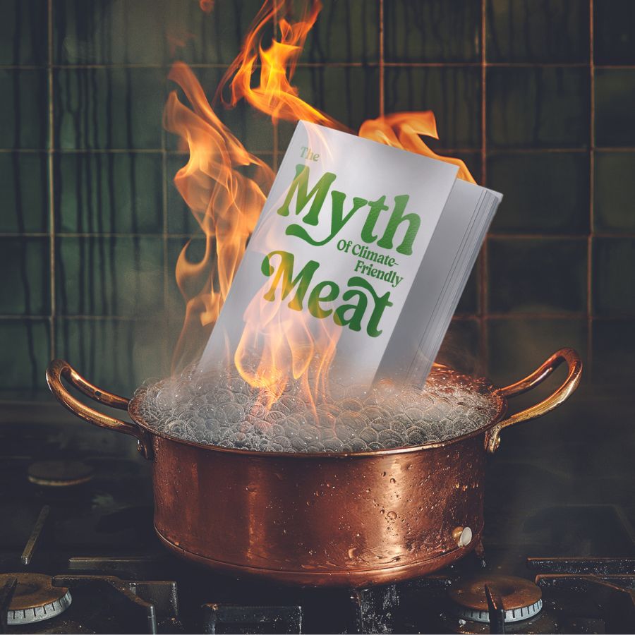 Cooking the books: The magical math of ‘climate-friendly’ meat
