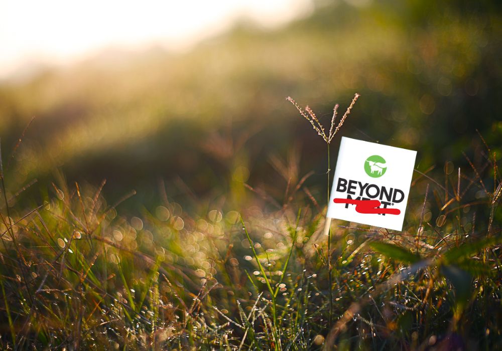 Beyond Meat drops meat in rebrand that shifts focus to plant protein